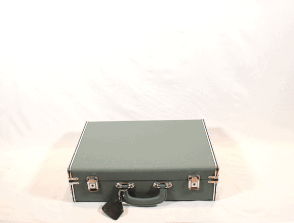 Shamisen mitsuori hardcase | shami-shop.com