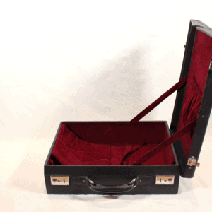 Shamisen mitsuori hardcase | shami-shop.com