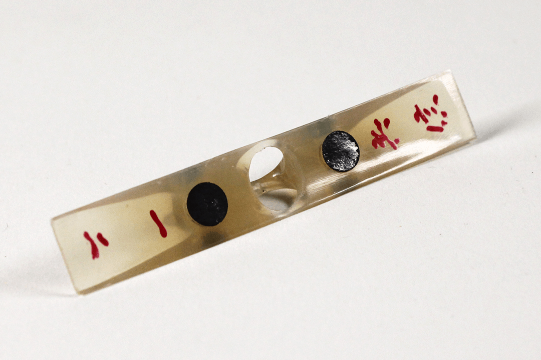 KO-37 d shamisen neo | shami-shop.com