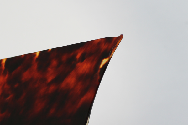 Tsugaru Bachi | Bekko | M – Bild 9