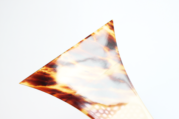 Tsugaru Bachi | Bekko | M/L – Bild 9