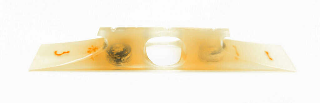 Jiuta Koma | water buffalo horn - Image 2