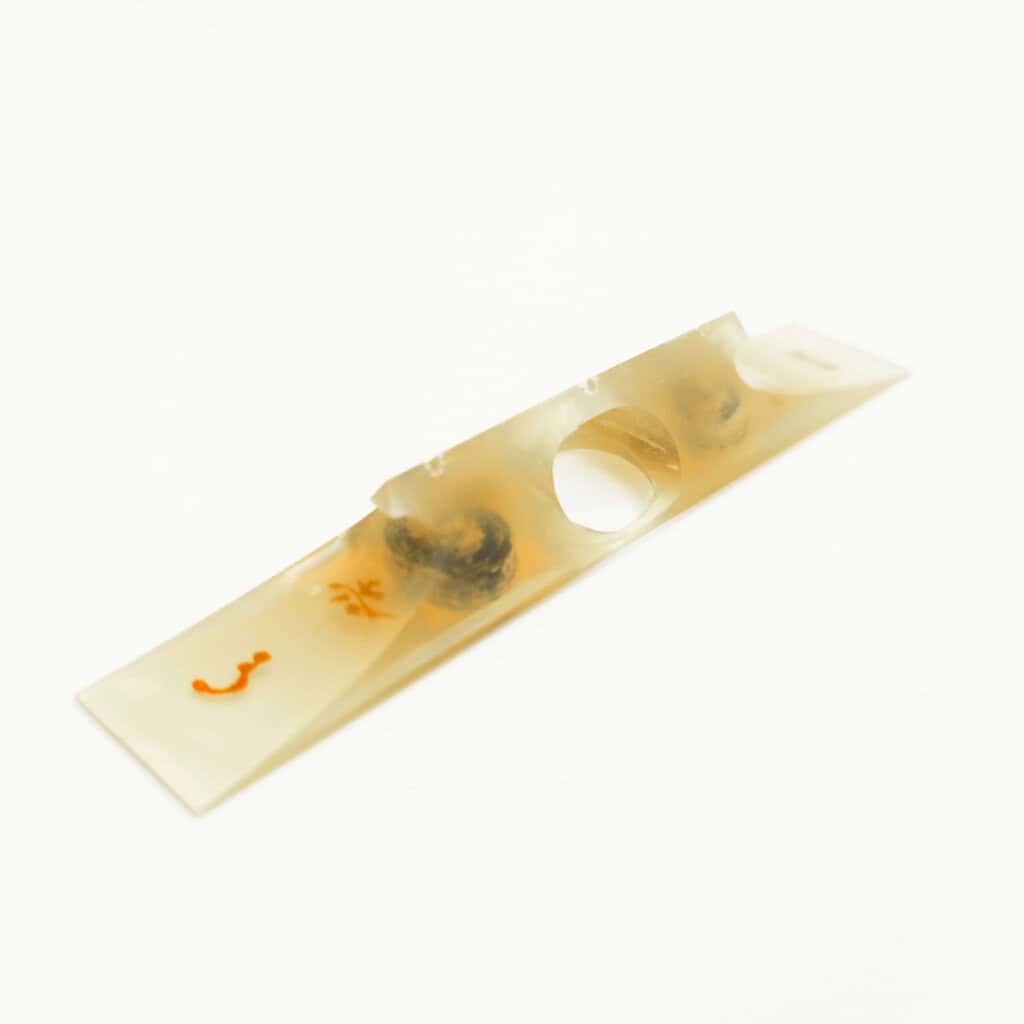 Jiuta Koma | water buffalo horn