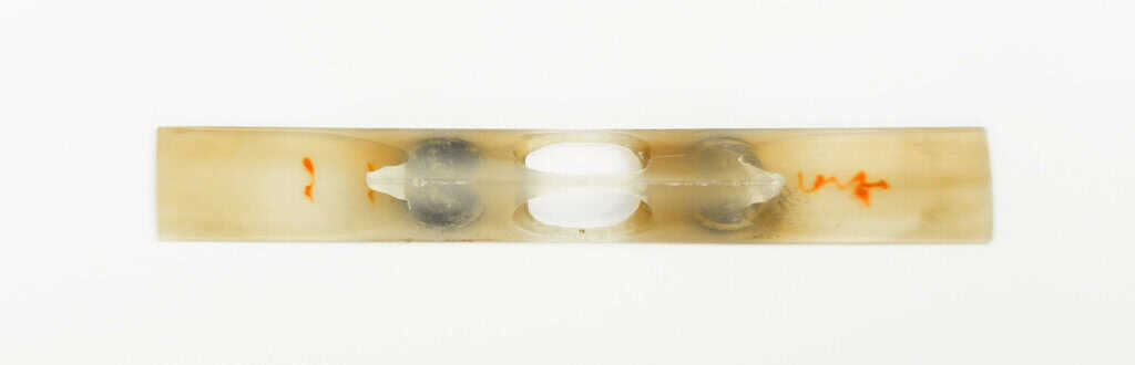 Jiuta Koma | water buffalo horn - Image 3