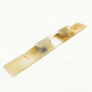 Jiuta Koma | water buffalo horn