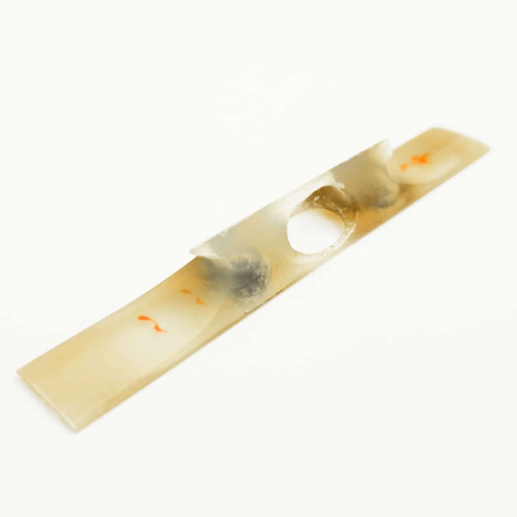 Jiuta Koma | water buffalo horn