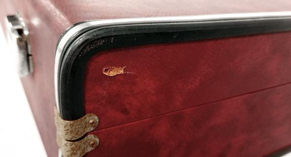Longcase | mottled red with red velvet - Image 9