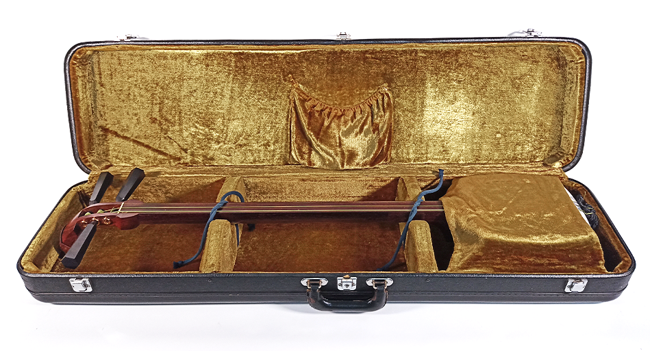 Tsugaru Longcase | Schwarz mit grün-goldenem Samt – Bild 2