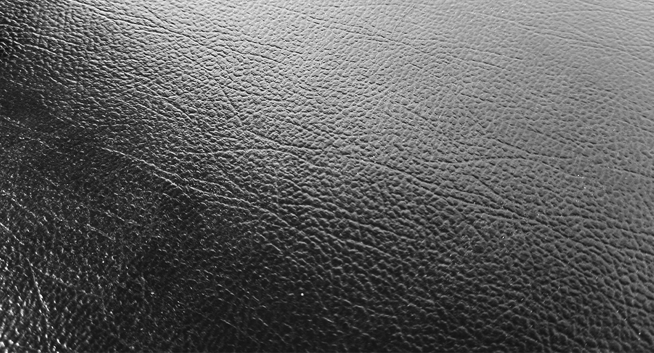 Tsugaru Longcase | Schwarz mit grün-goldenem Samt – Bild 7