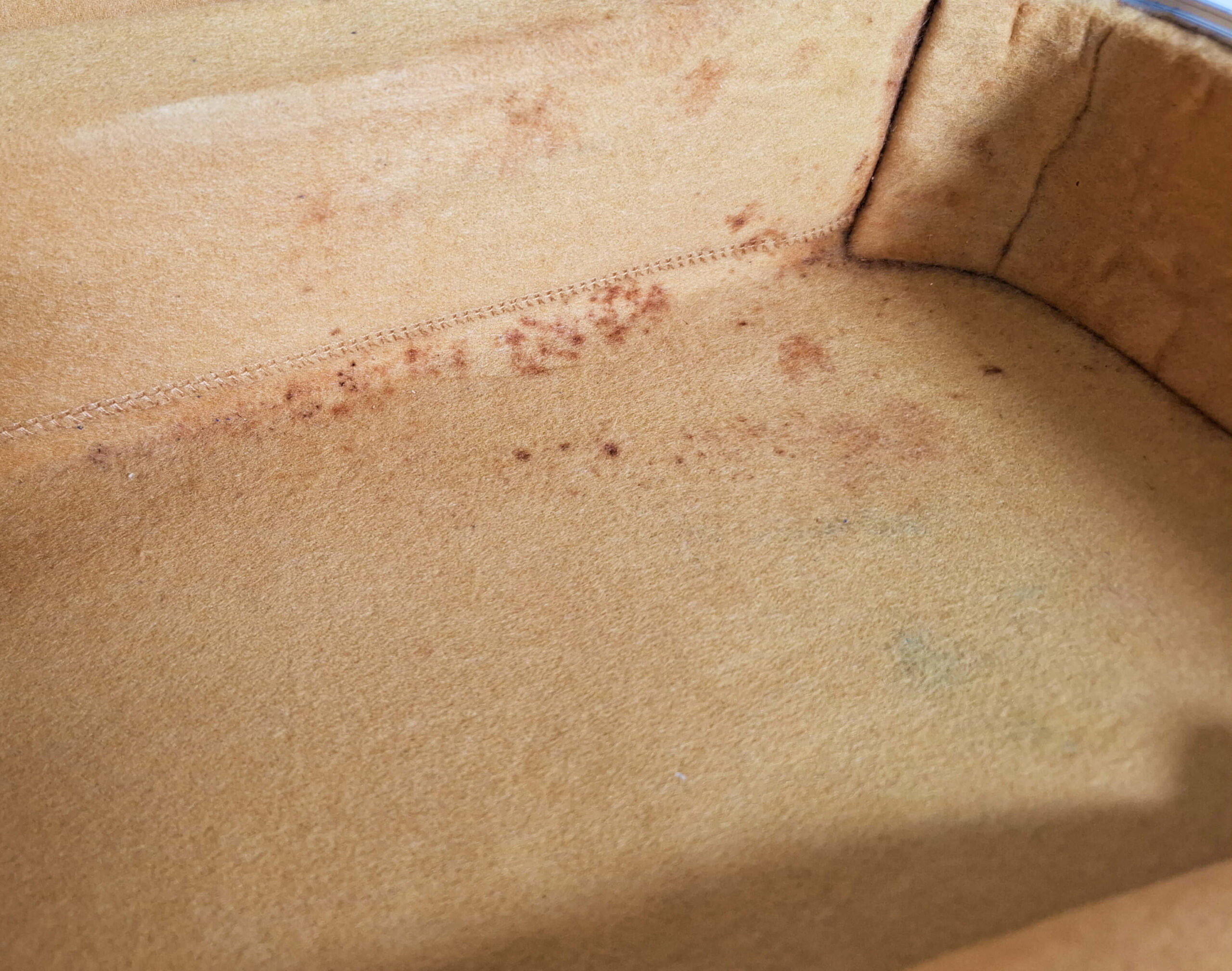 Tsugaru Longcase | blue with yellow velours - Image 11