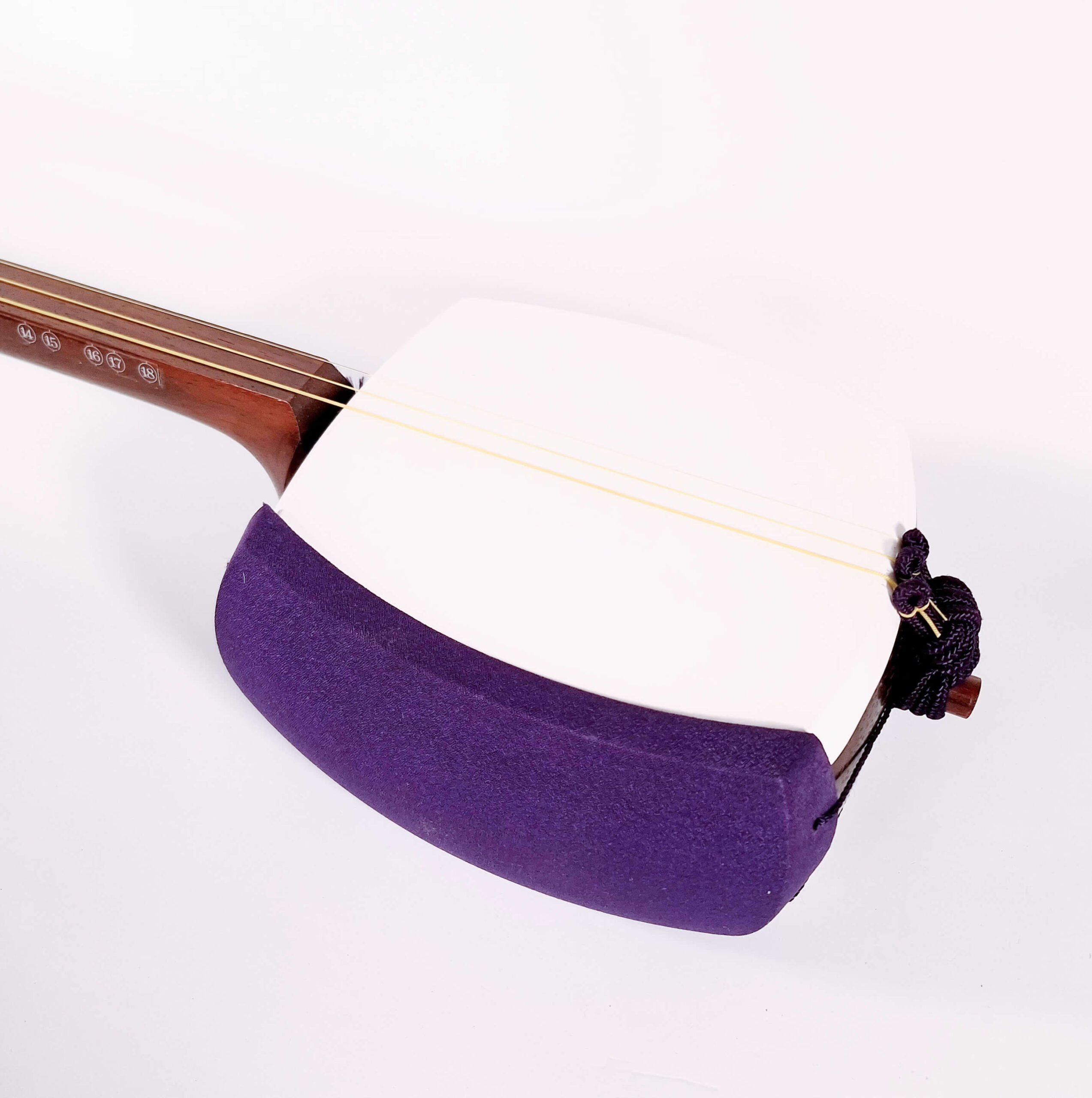 Futozao Shamisen Beginner Set | Taiga