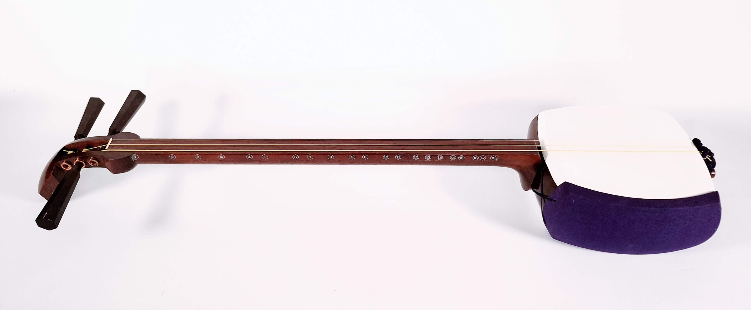 Futozao Shamisen Beginner Set | Taiga - Image 2